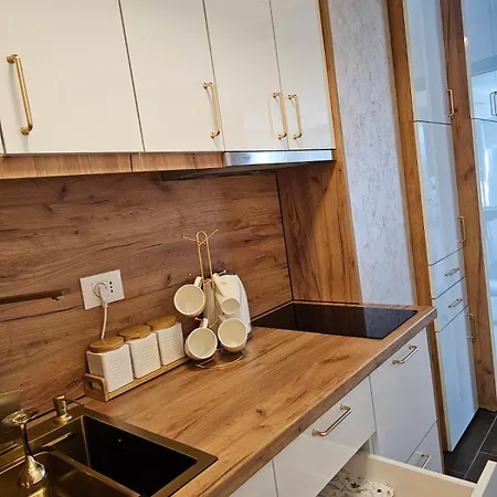 Apartamento King Centar Vrnjačka Banja