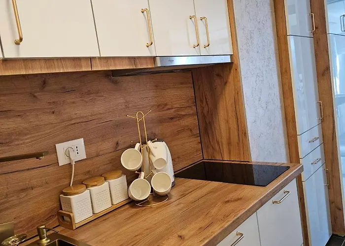 Apartament King Centar Vrnjačka Banja